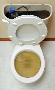 backed-up toilet Columbia, MO