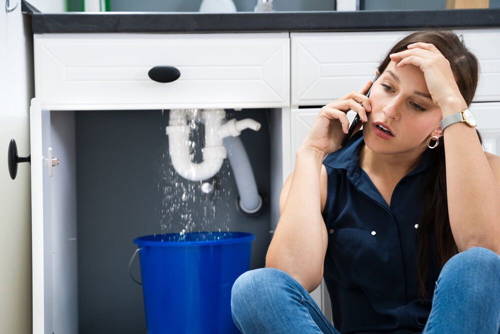 leaky or faulty plumbing fixture