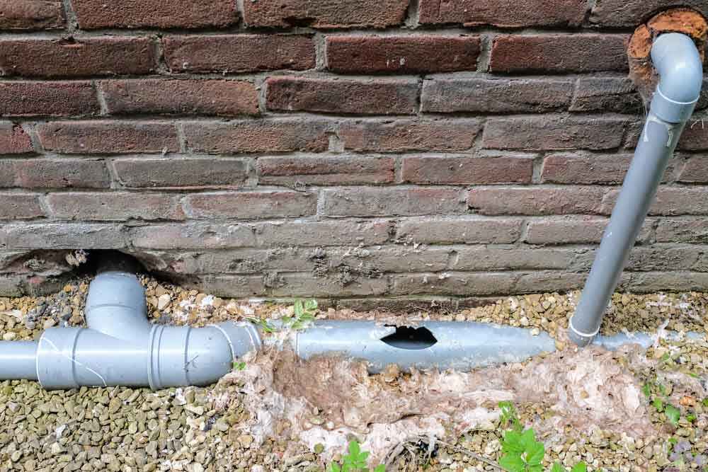 Telltale Signs of a Damaged Sewer Line | Brian Wear Plumbing